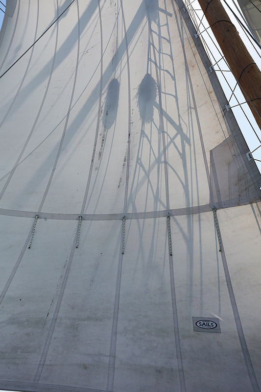 Sail on the R Tucker Thompson, Bay of Islands, NZ